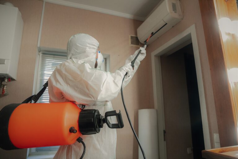Who Is Responsible For Pest Control Eradication In HMO Rentals?