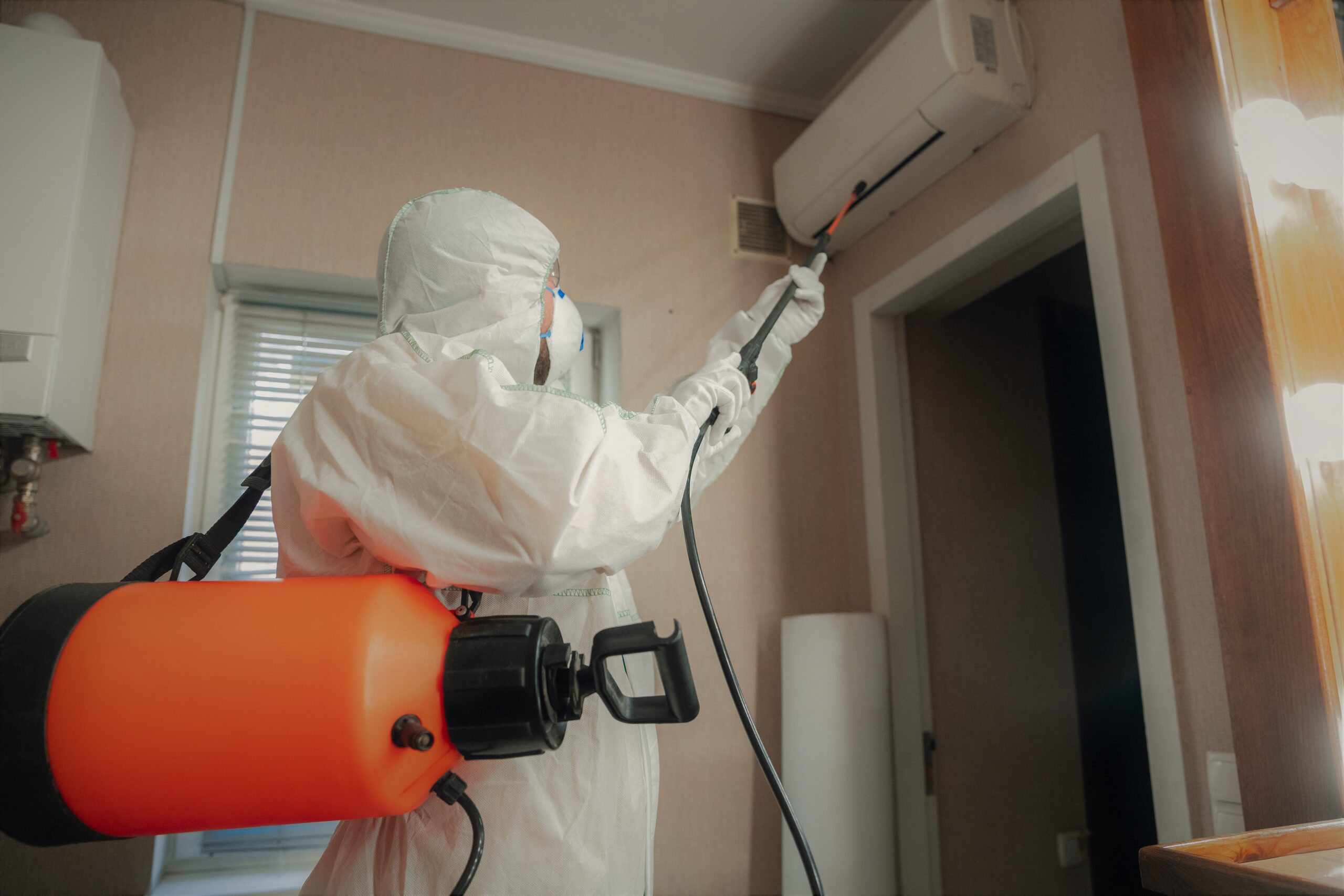 Who Is Responsible For Pest Control Eradication In HMO Rentals?